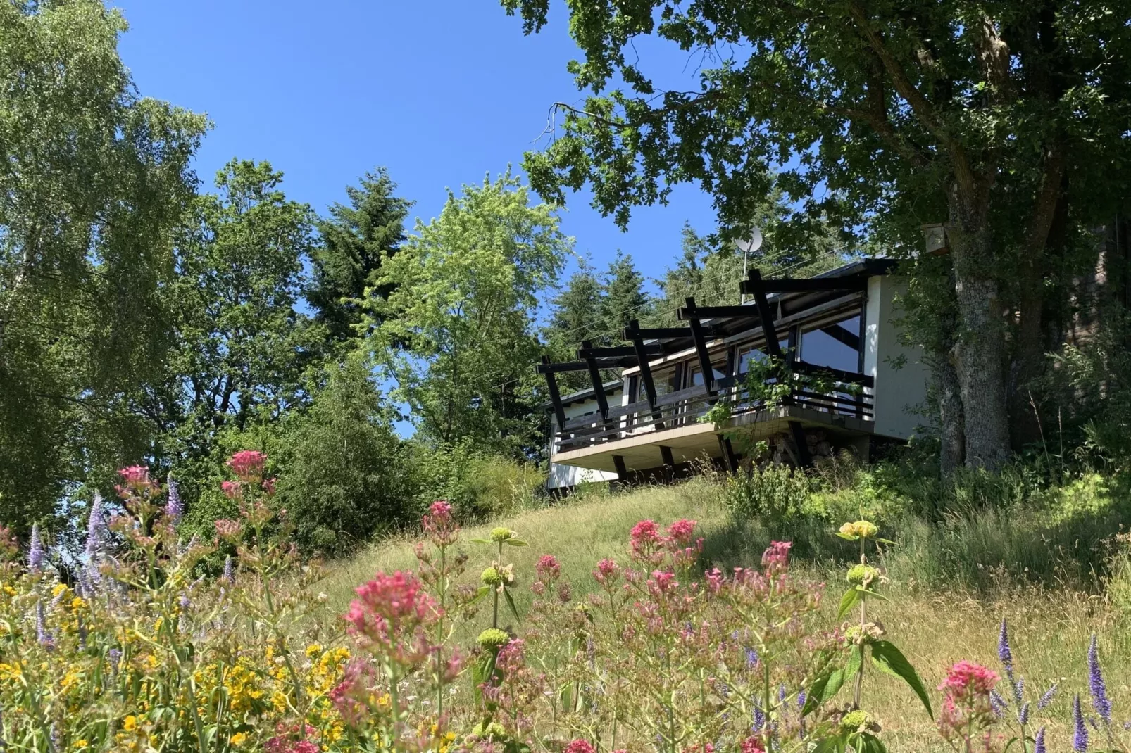 Panoramahaus-Tuinen zomer