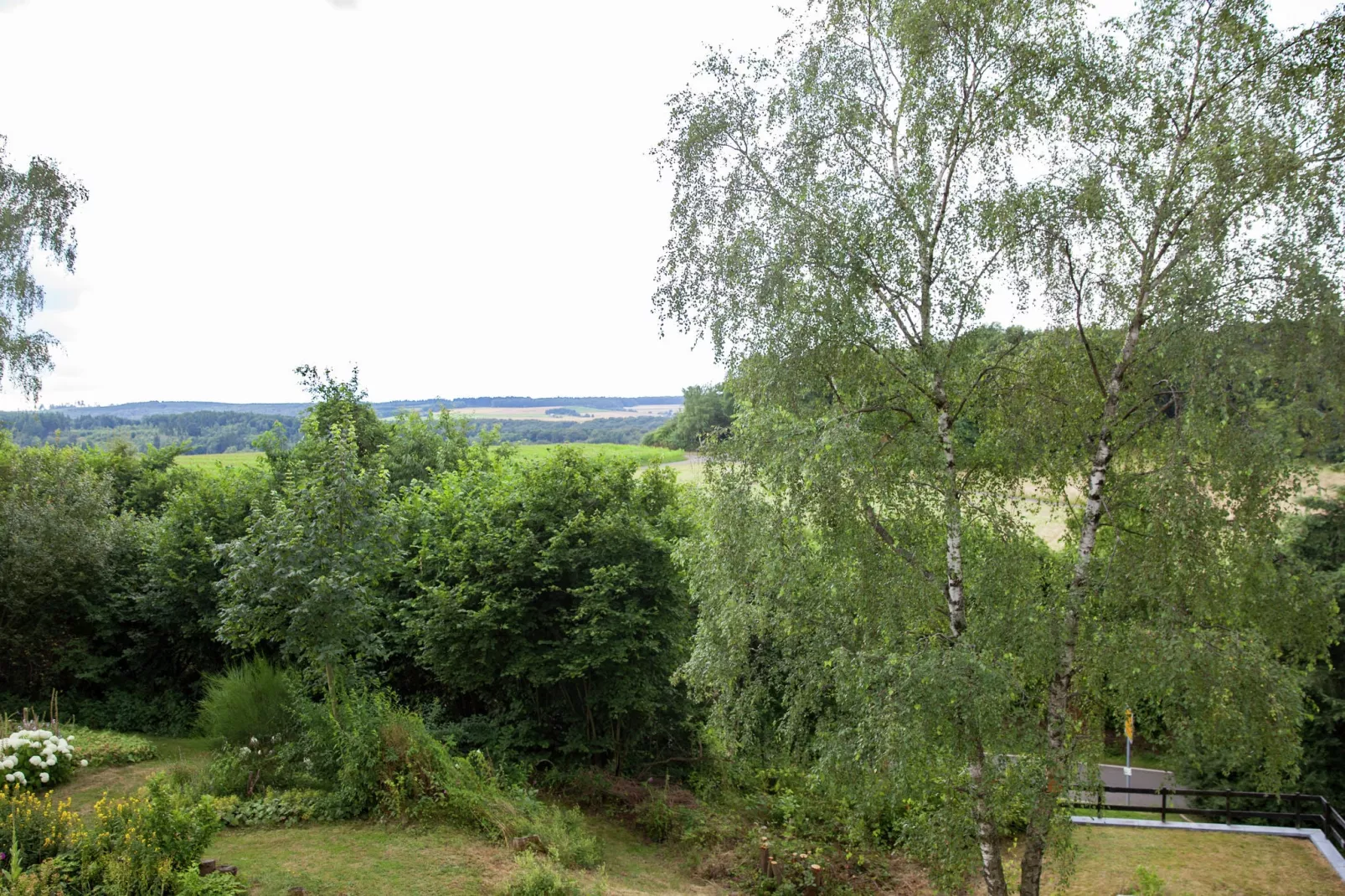 Panoramahaus-Uitzicht zomer