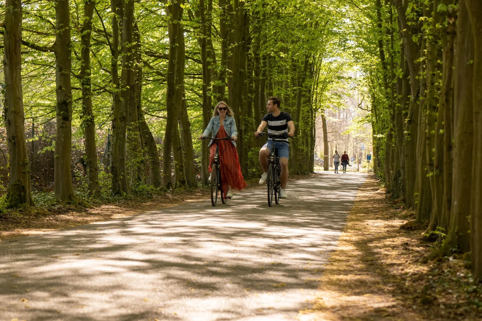 Resort Hoge Kempen 2-Gebieden zomer 5km