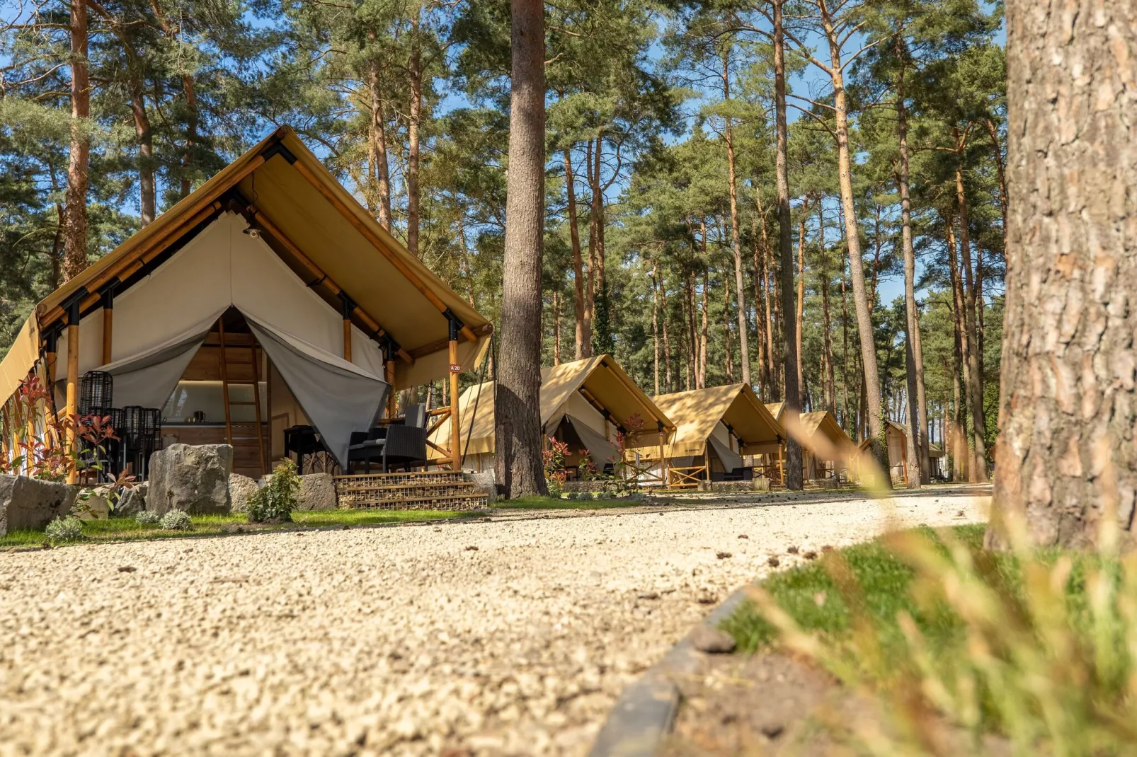 Resort Hoge Kempen 4-Buitenkant zomer
