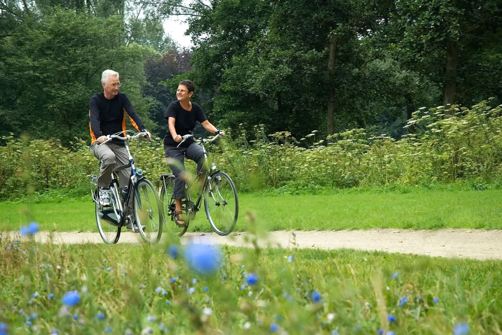 Resort Maasduinen 1-Gebieden zomer 5km