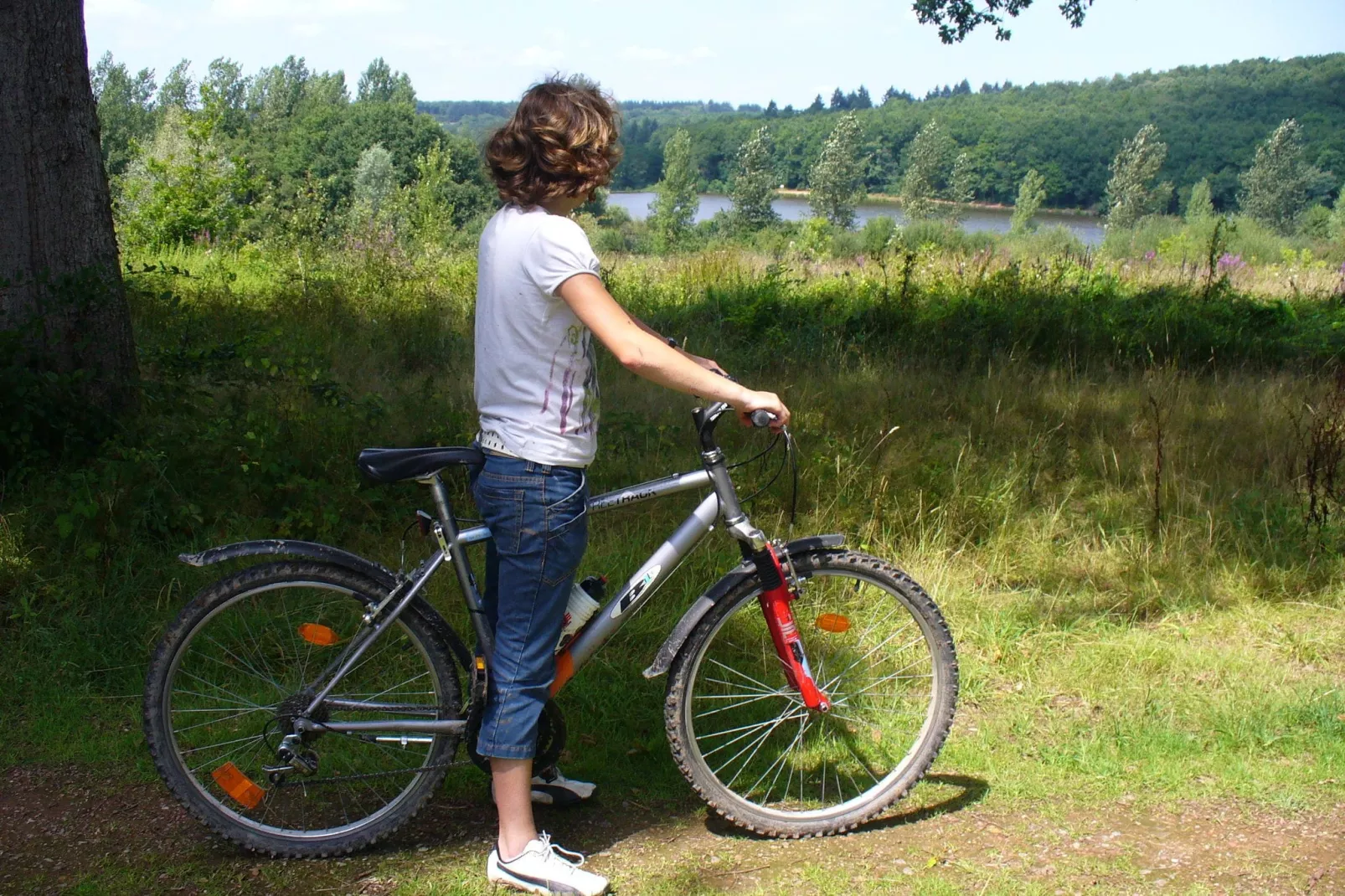 Maison de vacances -   VIEURE-Gebieden zomer 1km