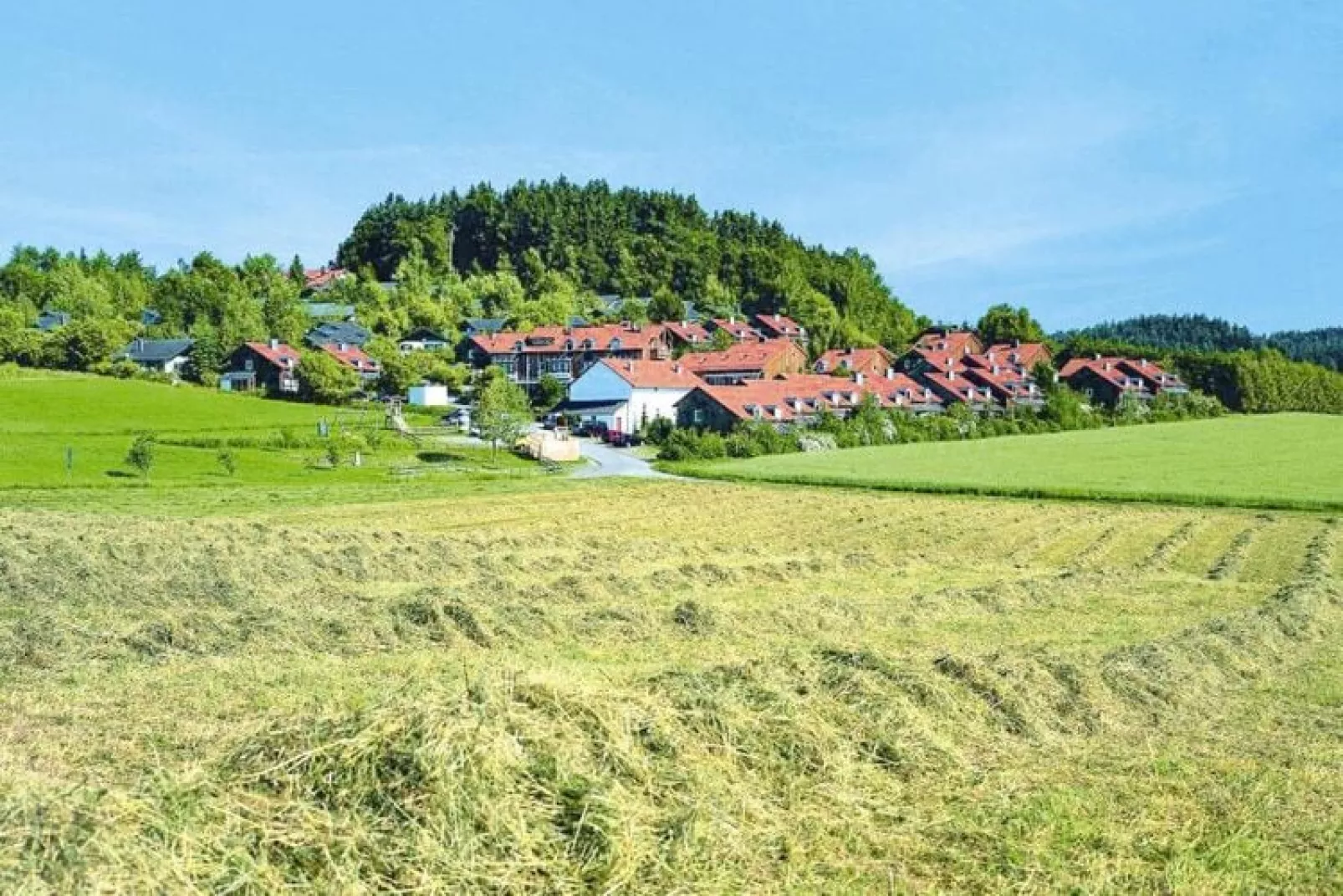 Vakantiedorp Schlossberg, Zandt-Uitzicht zomer