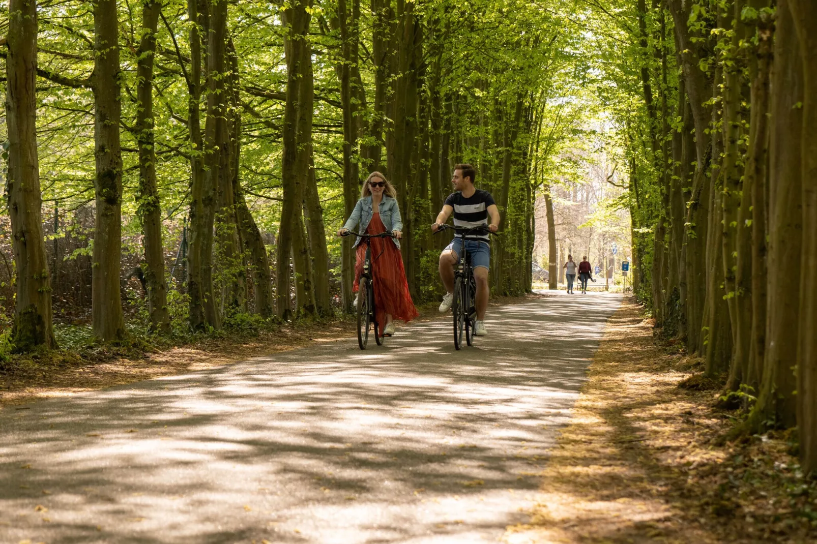 Resort Hoge Kempen 5-Gebieden zomer 5km