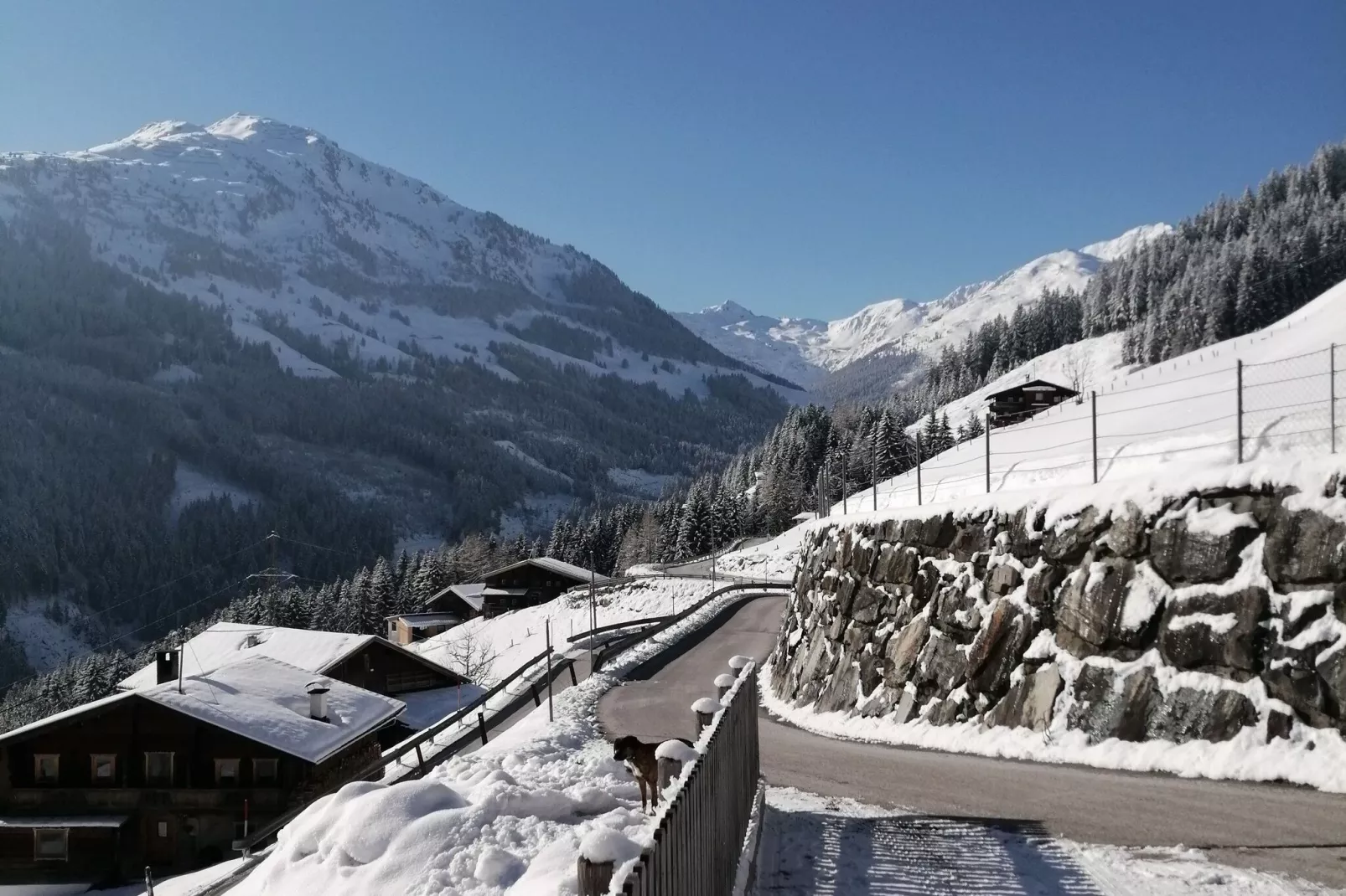 Ferienhaus Schöser-Uitzicht winter