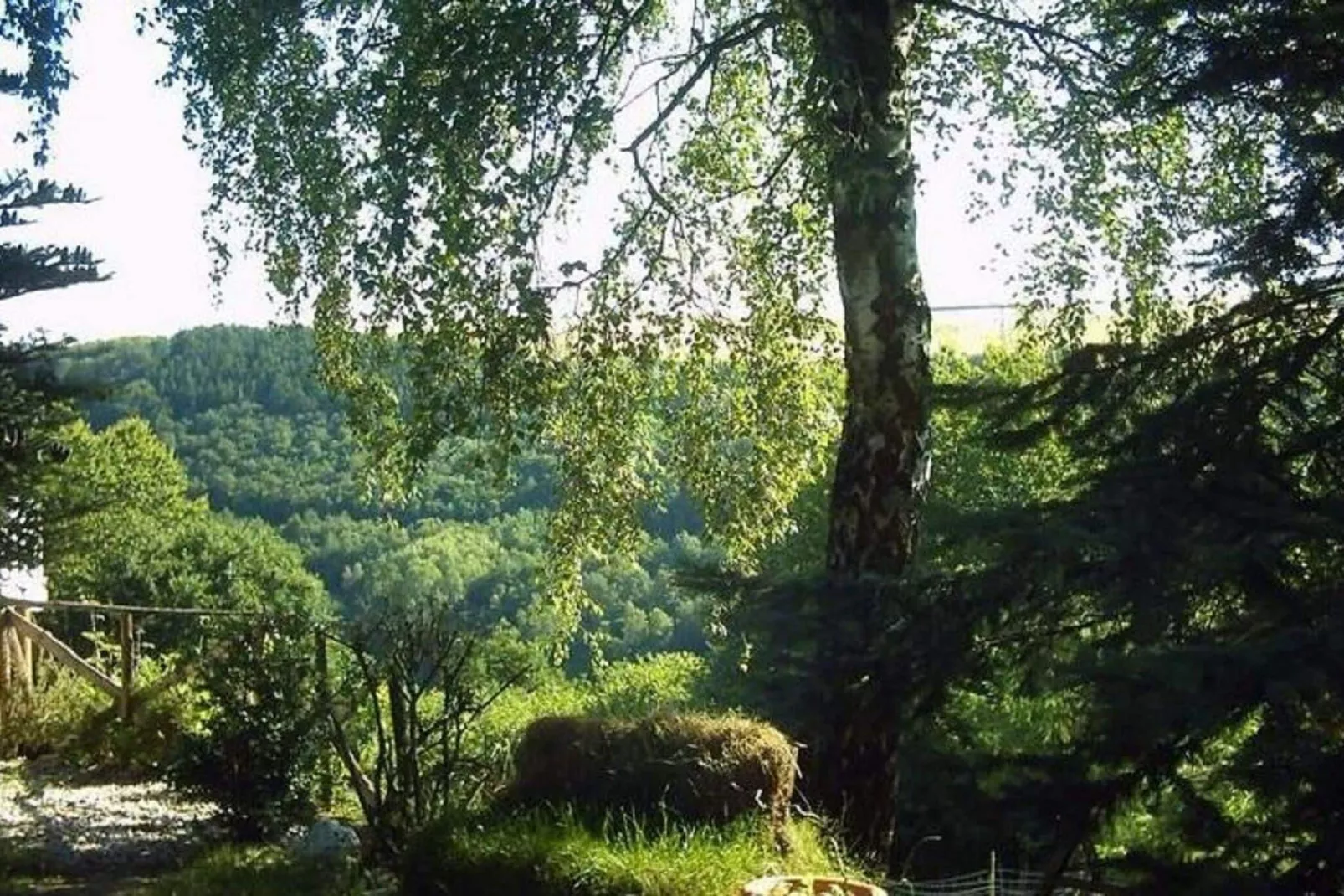 Hubertusstube-Tuinen zomer