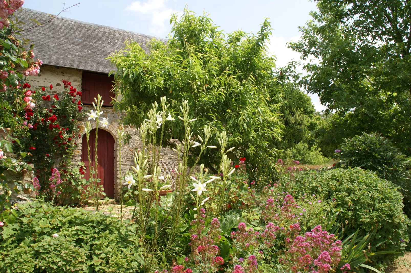 Maison de vacances St Laurent des Mortiers-Tuinen zomer