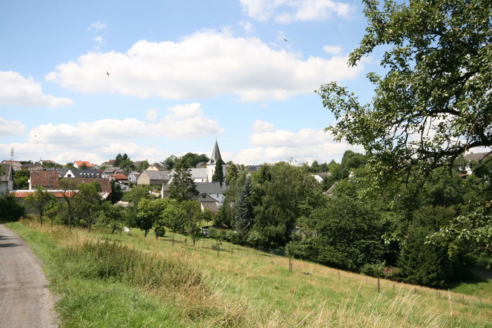 Neis-Gebieden zomer 1km