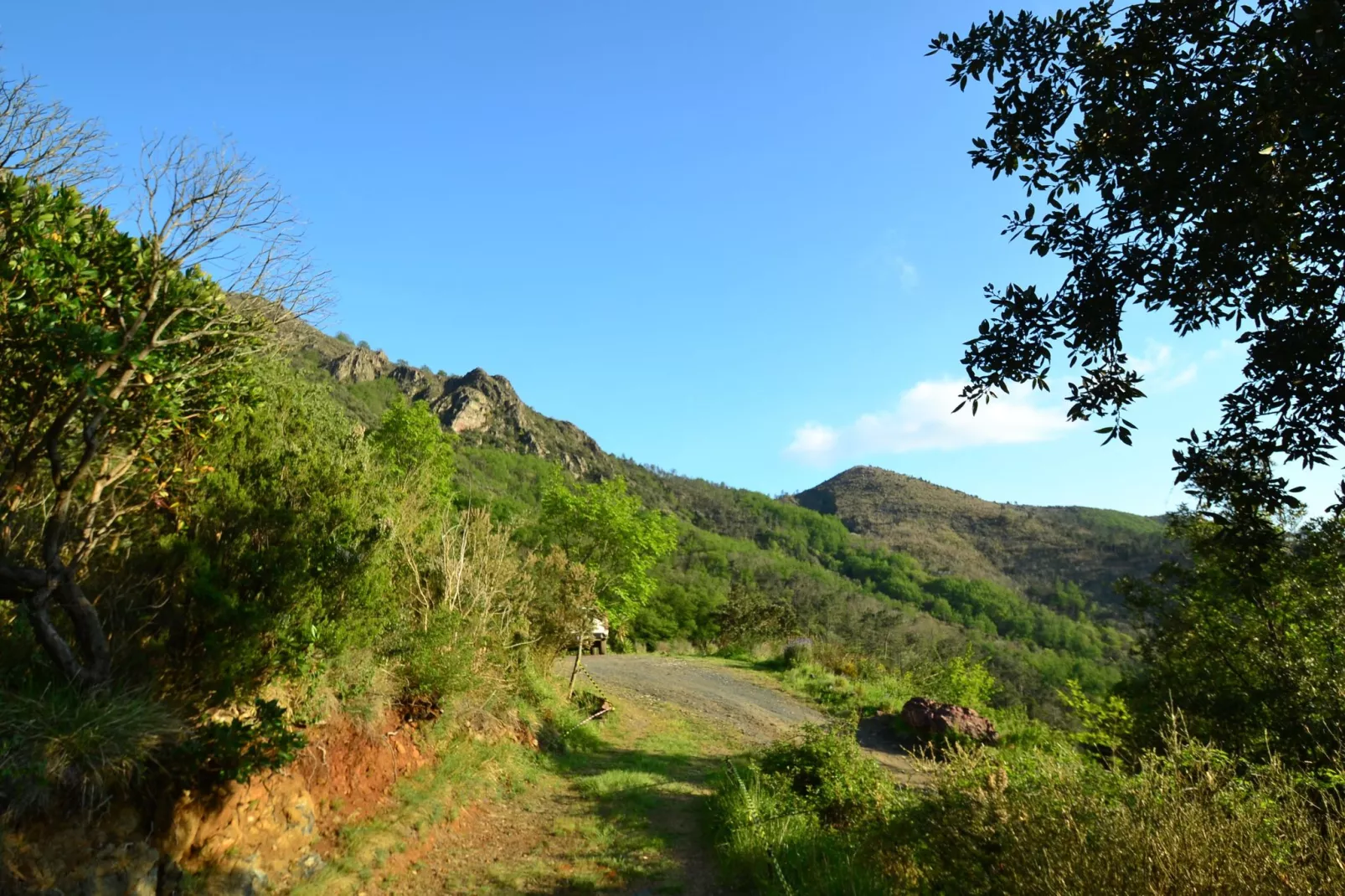 Gromolino-Gebieden zomer 1km