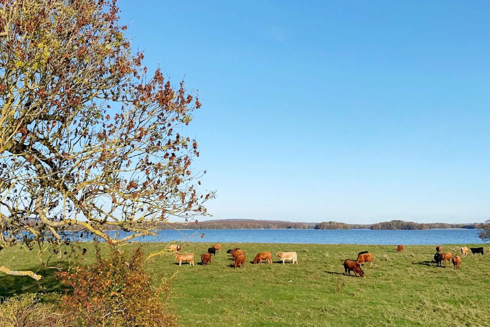 4 persoons vakantie huis in KRISTIANSTAD-By Traum-Uitzicht