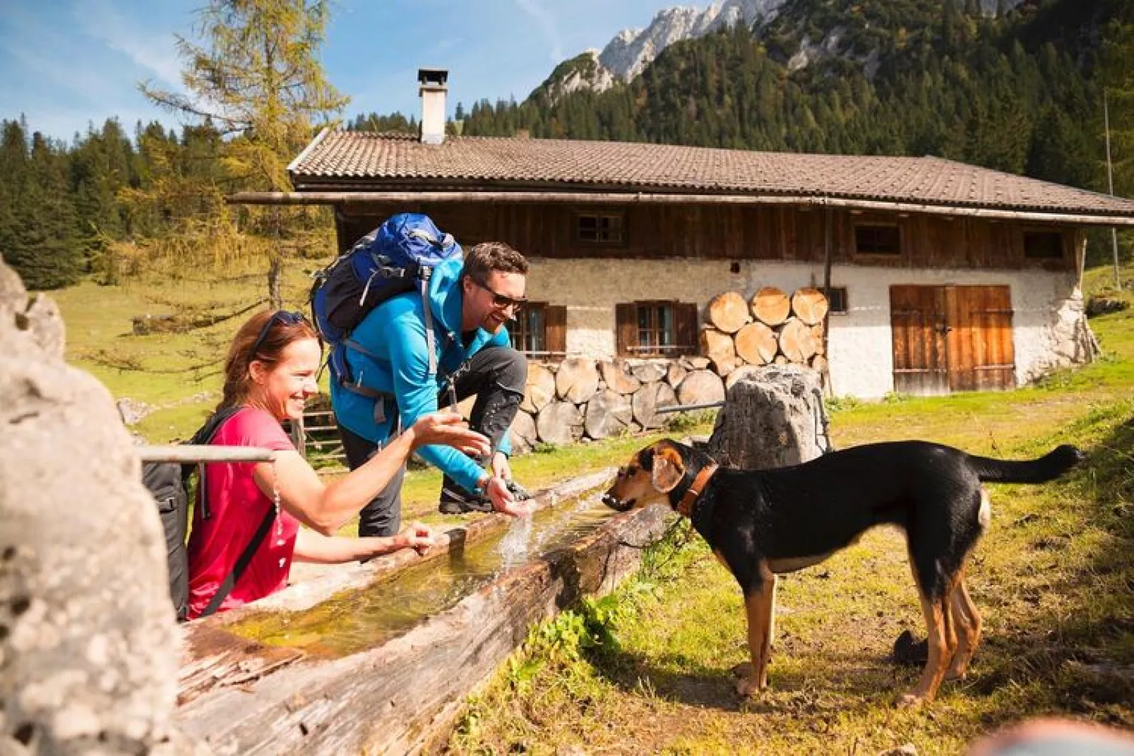 Ferienhaus Fankhaus-Gebieden zomer 1km