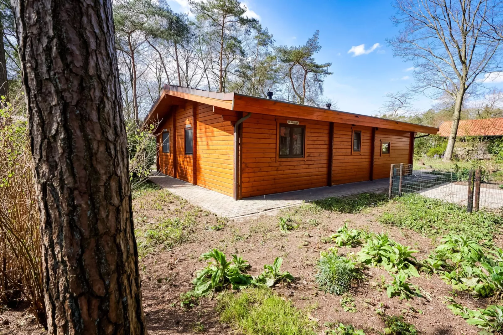 Finse Bungalow in Holten-Buitenkant zomer