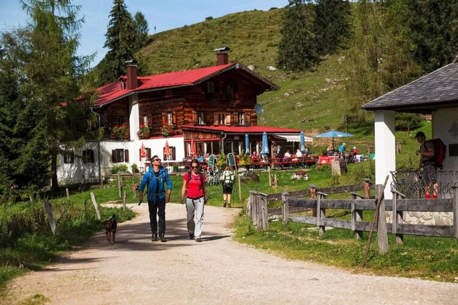 Ferienhaus Fankhaus-Tuinen zomer