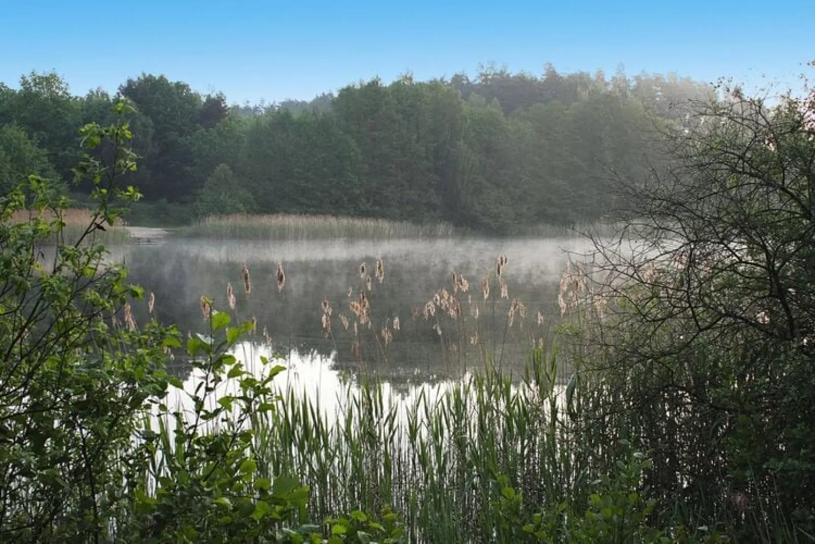 Ferienhäuser Inselblick / Ferienhaus 60 qm-Waterzicht