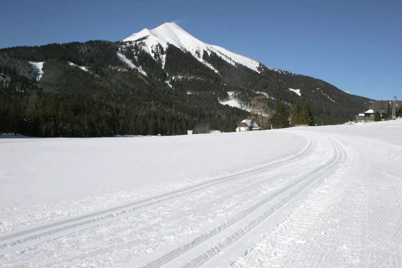 Chalet Sonnenschein-Gebied winter 5km