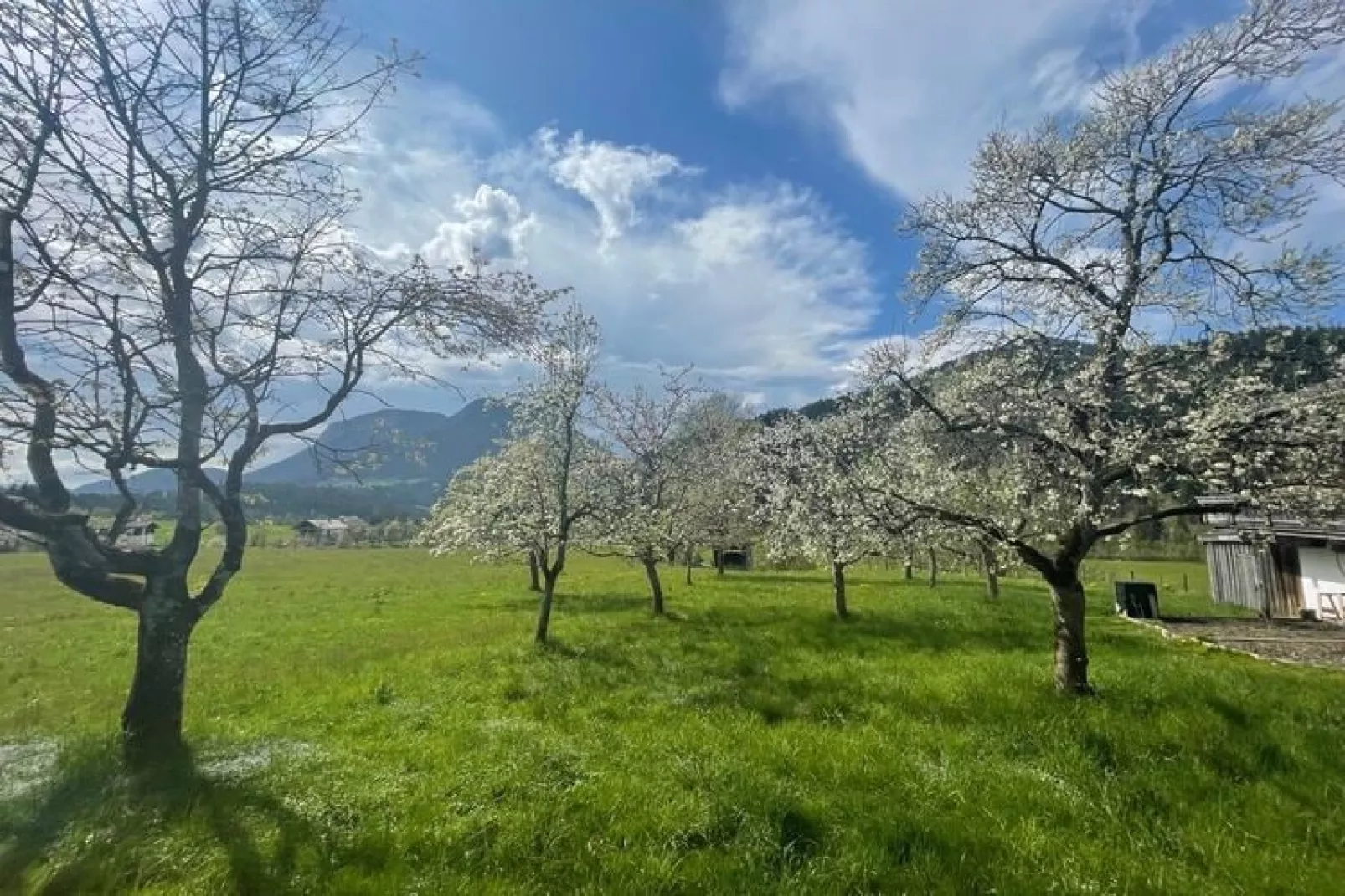 Ferienhaus am Wilden Kaiser-Buitenkant zomer