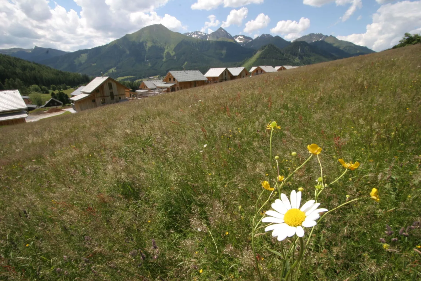 Luxe chalet in Hohentauern met adembenemend uitzicht-Gebieden zomer 1km