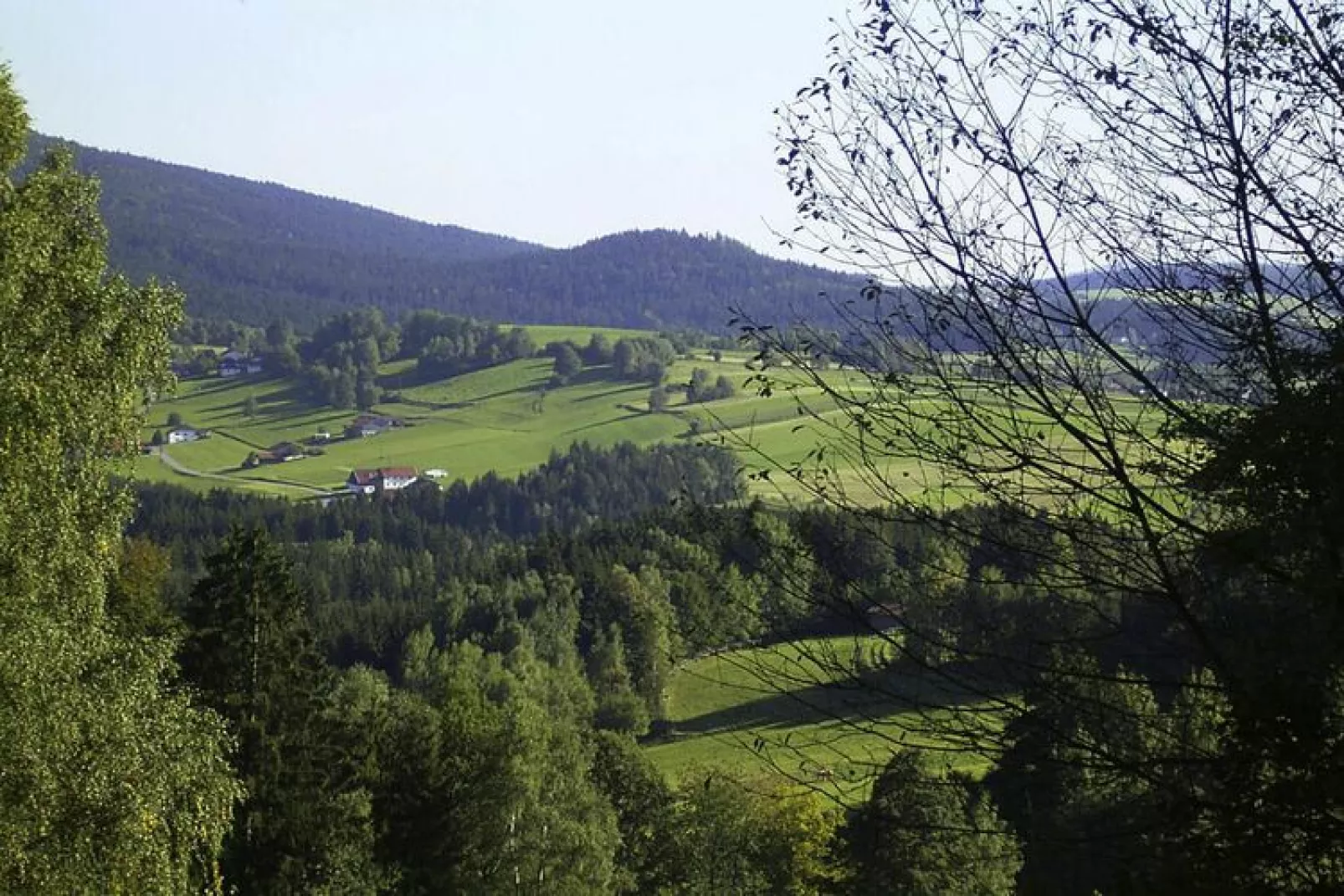 Ferienhaus Schneider Rinchnach 70 qm-Uitzicht zomer