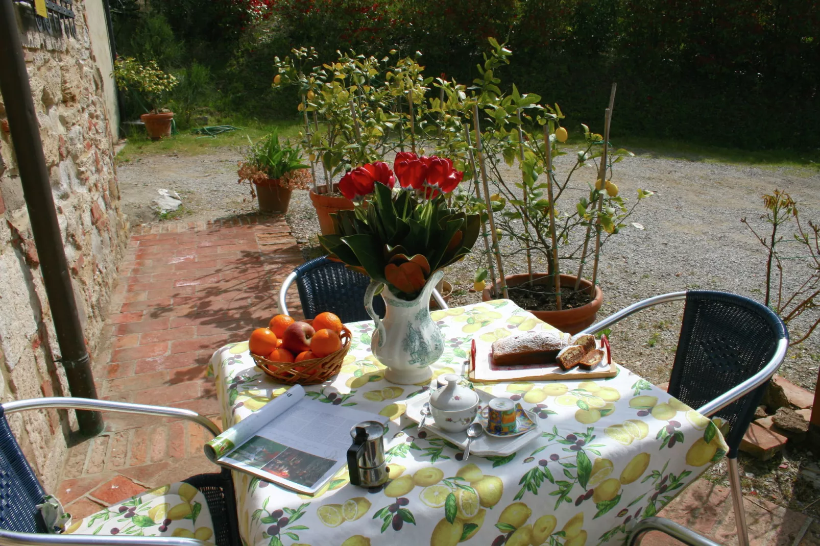 terracebalcony