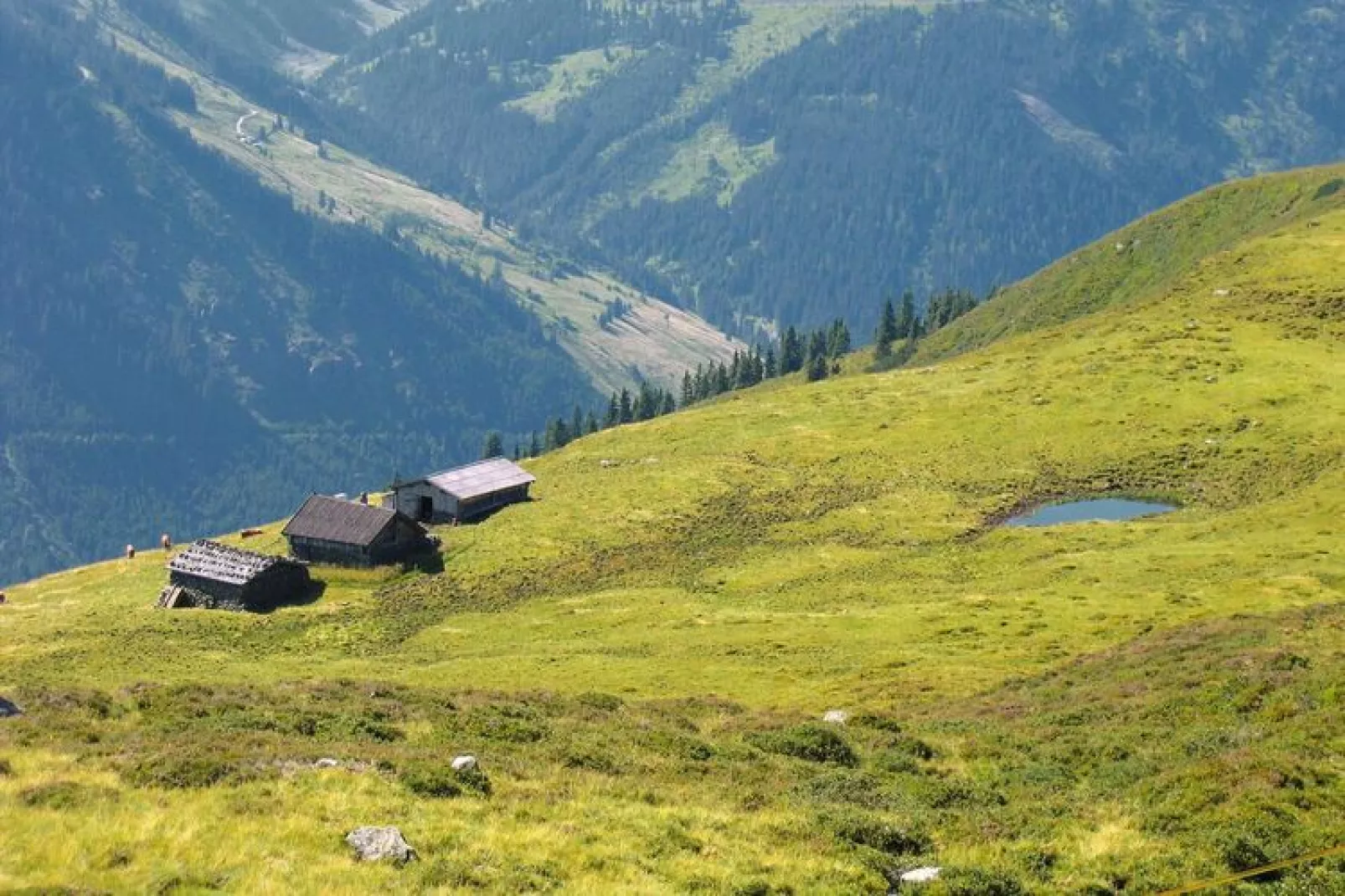 Apartments Schatzberg-Haus, Wildschönau-Auffach-Typ C-Uitzicht zomer