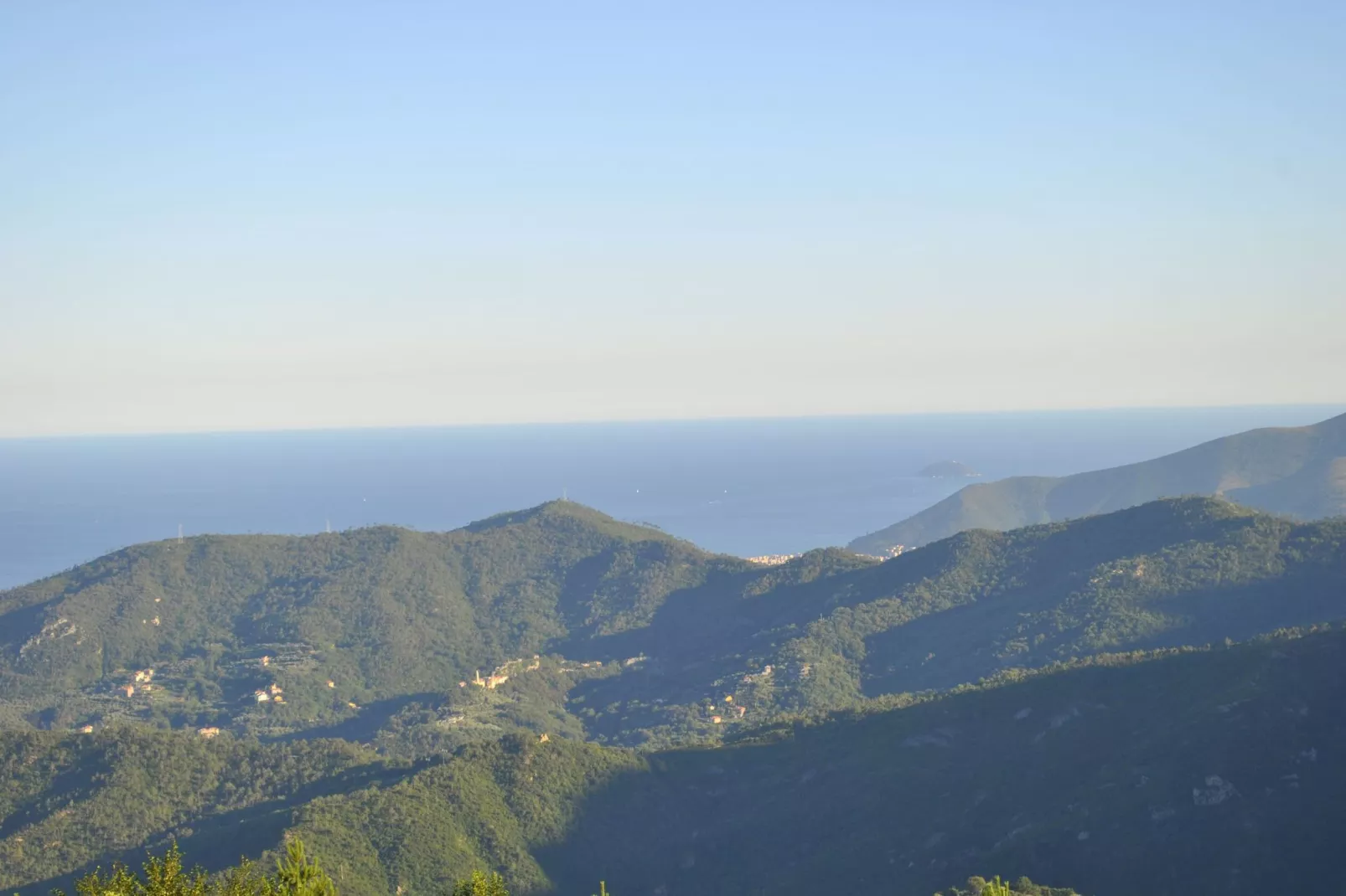 Vista Gentile-Gebieden zomer 1km