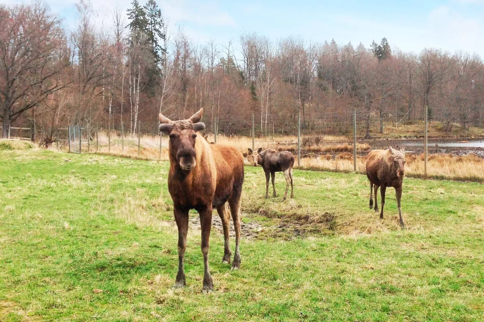 4 persoons vakantie huis in STJÄRNHOV-Niet-getagd