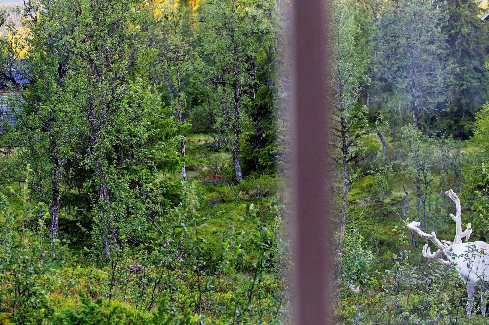 4 sterren vakantie huis in FUNÄSDALEN