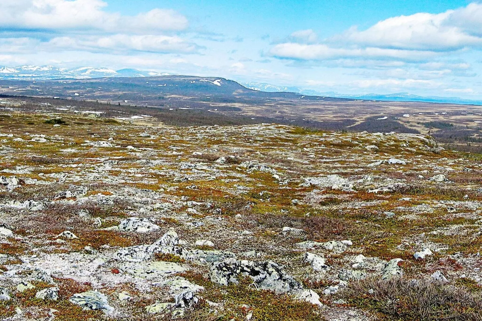 4 sterren vakantie huis in FUNÄSDALEN-Uitzicht