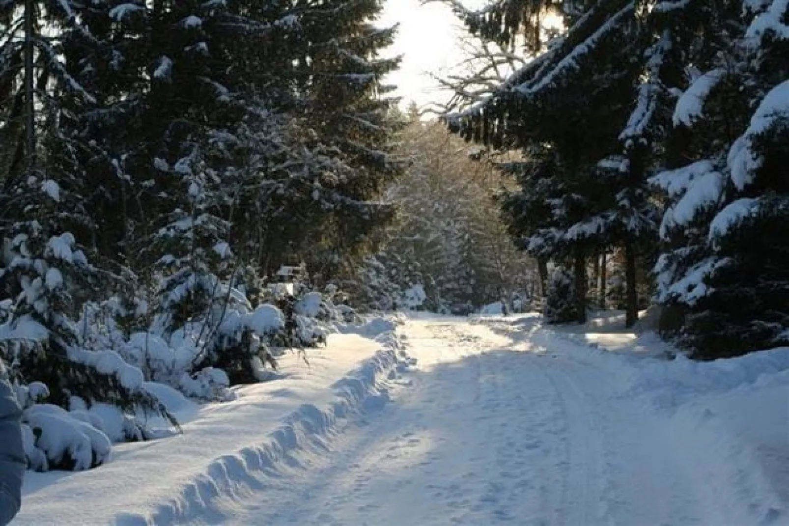 Eifelpark 10-Gebied winter 1km