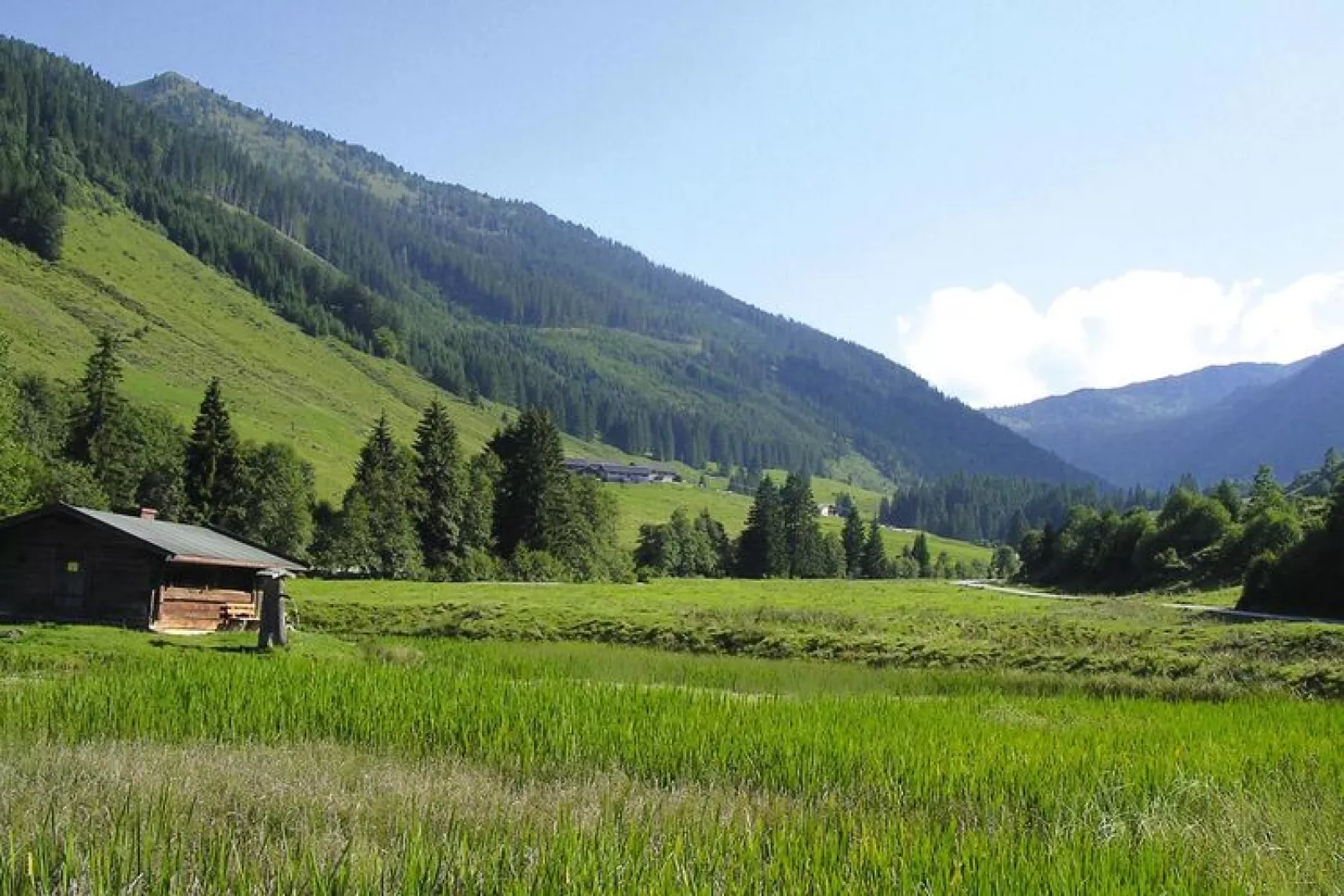 Apartments Schatzberg-Haus, Wildschönau-Auffach-Typ A-Uitzicht zomer