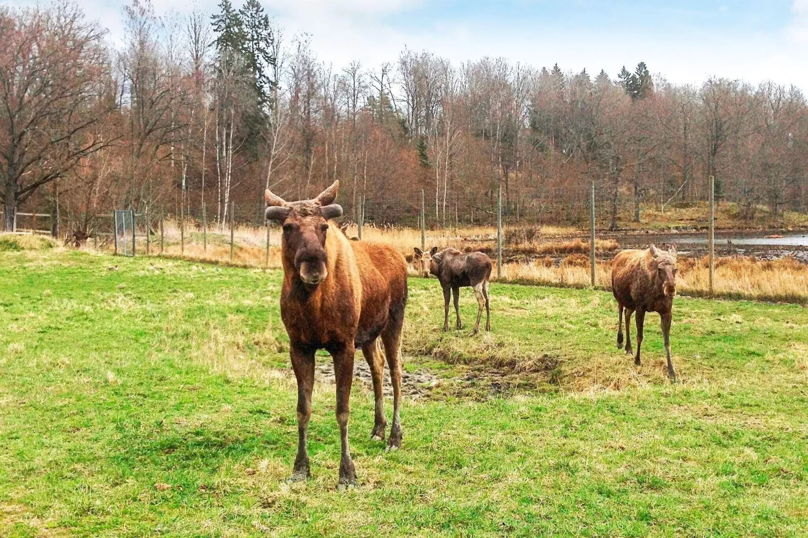 6 persoons vakantie huis in STJÄRNHOV-Niet-getagd