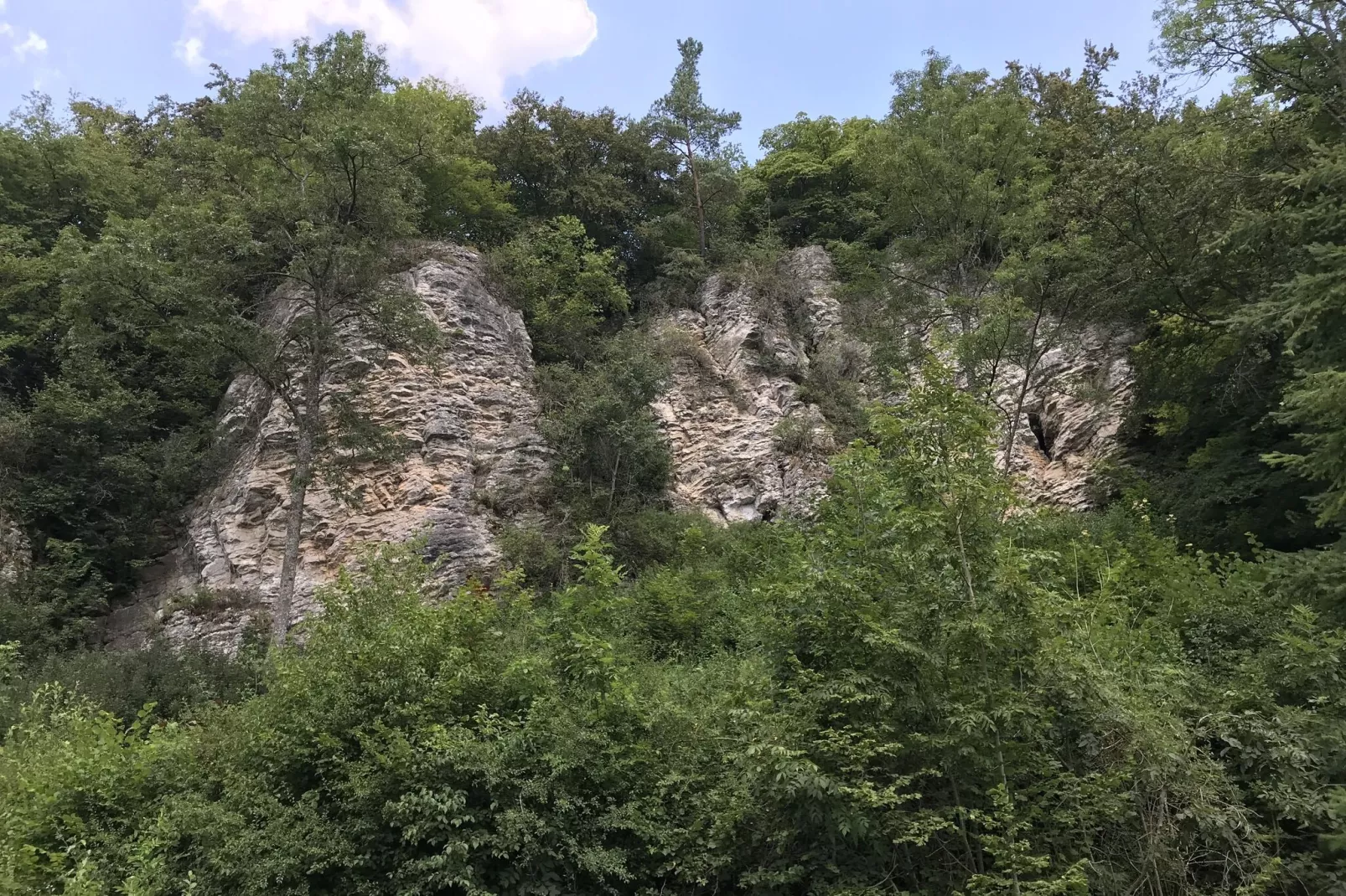 Eifelpark 10-Gebieden zomer 20km