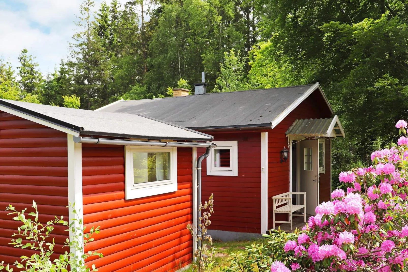 4 persoons vakantie huis in Åsljunga-Buitenlucht