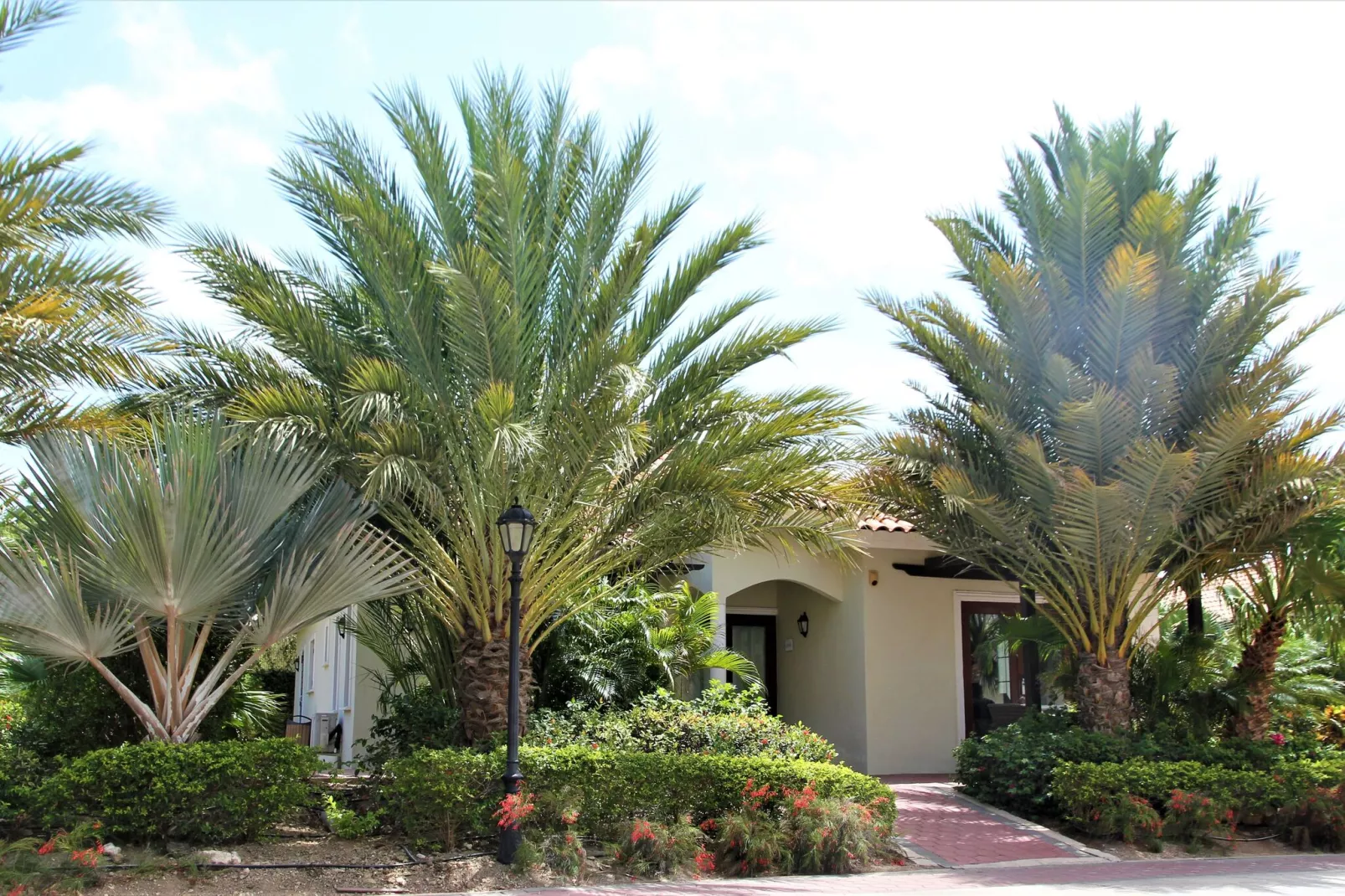 Villa 3 bedroom with private pool-Buitenkant zomer