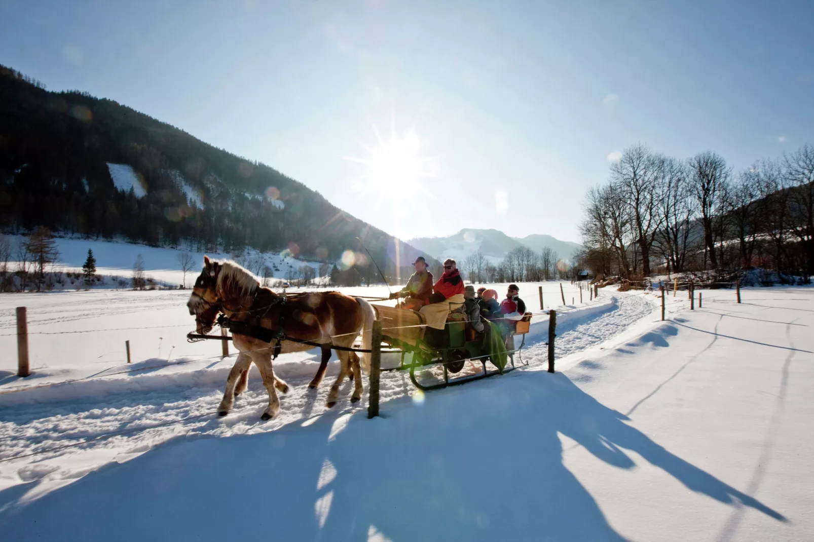 Chalet Bärenschanze-Gebied winter 5km