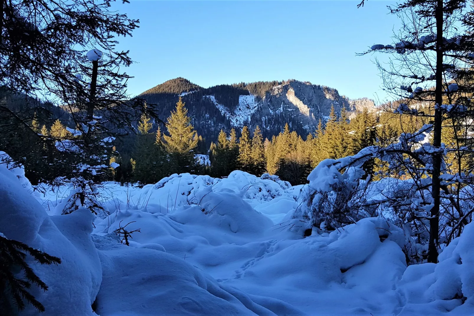 Chalet Bärenschanze-Gebied winter 1km