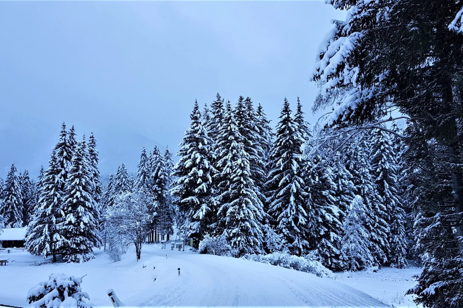 Chalet Bärenschanze-Gebied winter 1km