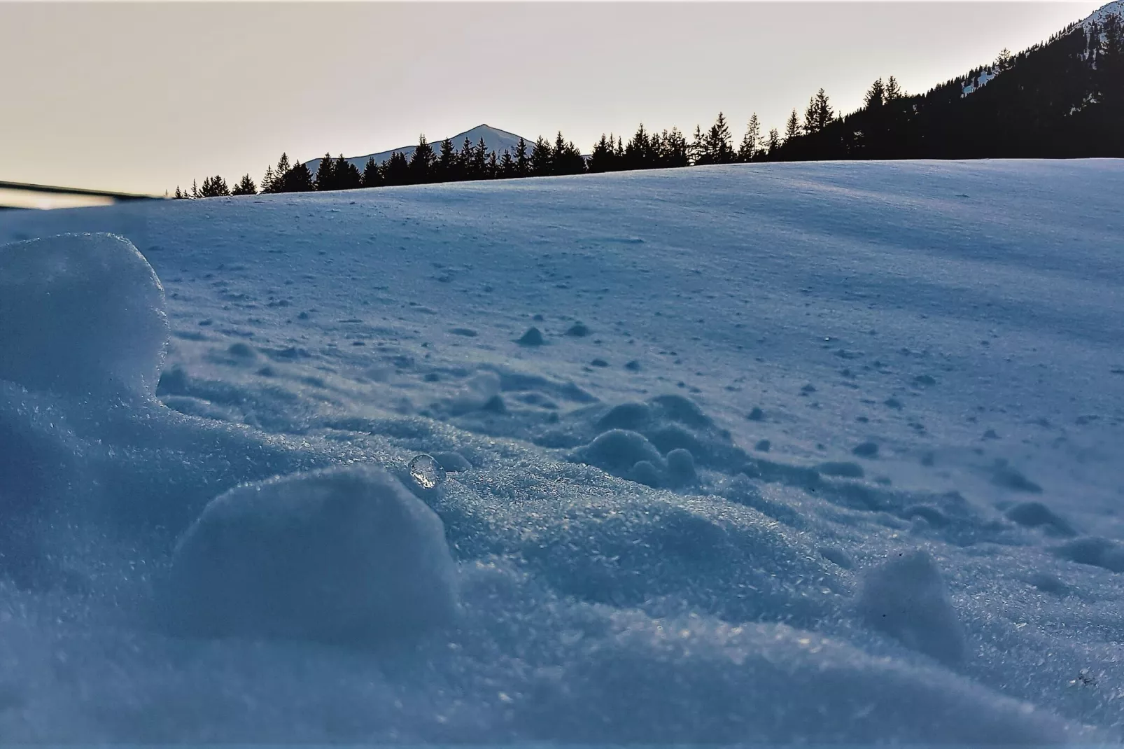 Chalet Bärenschanze-Gebied winter 5km