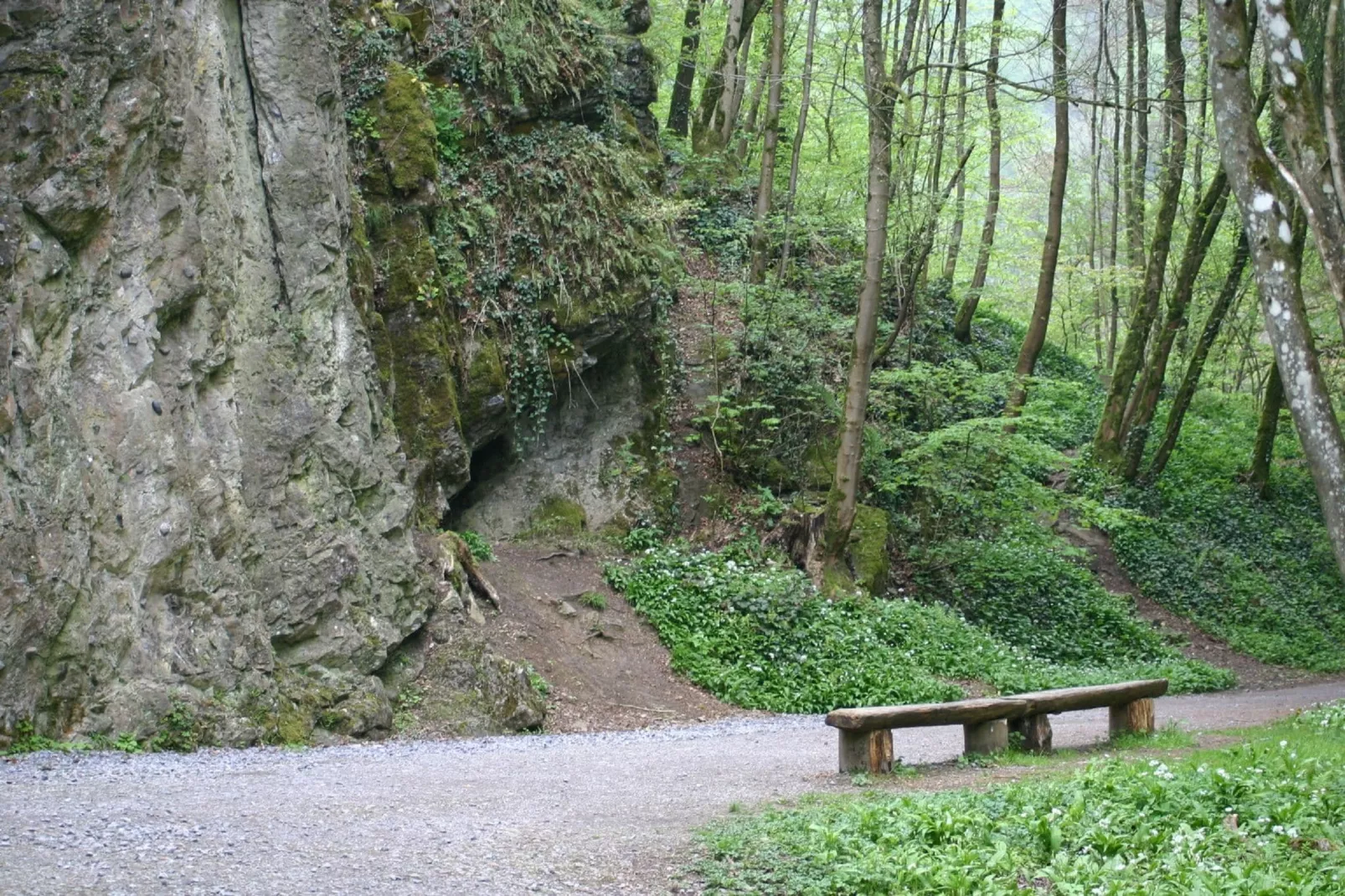 Le Chalet Chaleureux A-Gebieden zomer 1km