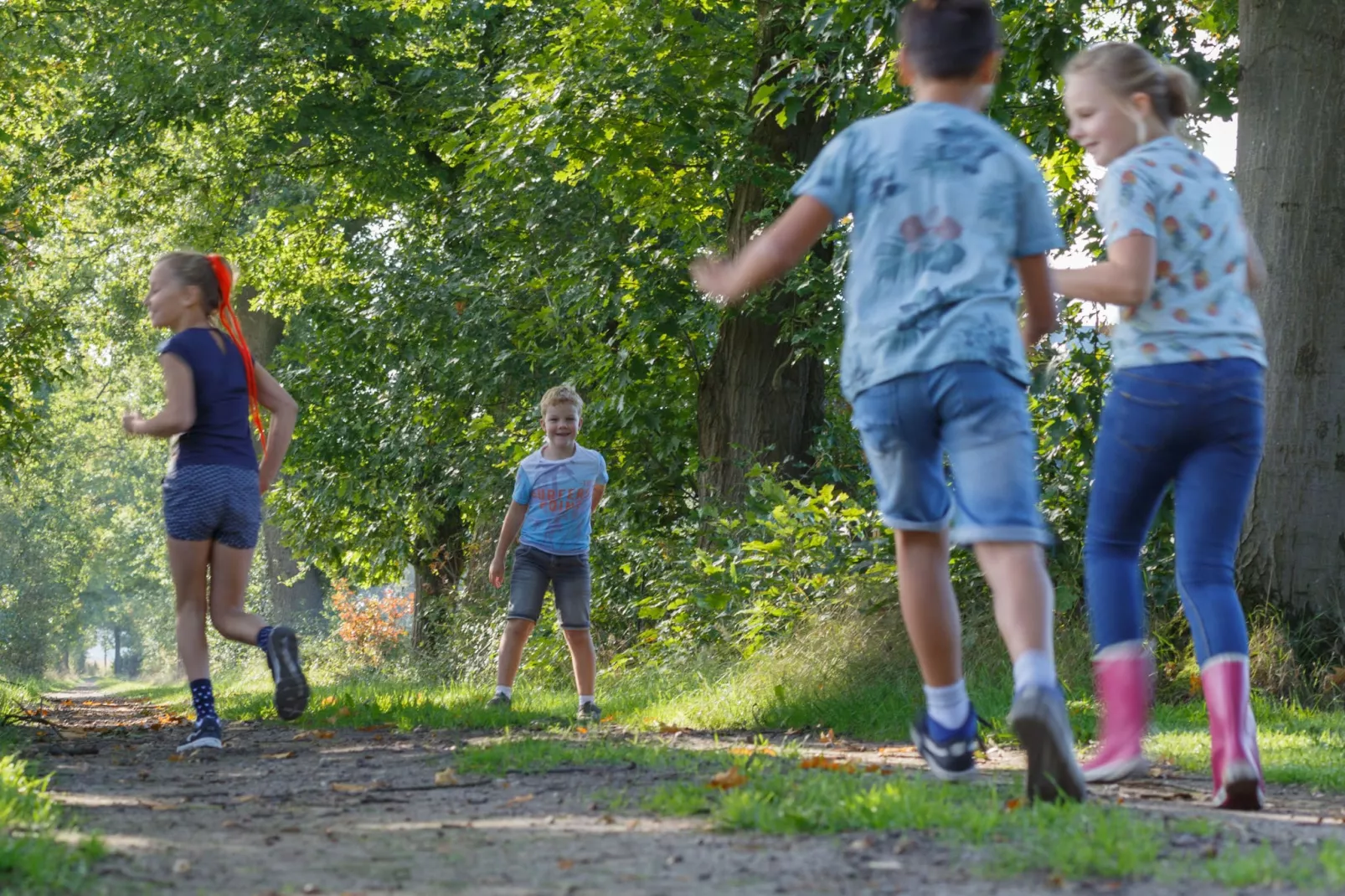 Landrijk de Reesprong 2-Gebieden zomer 1km