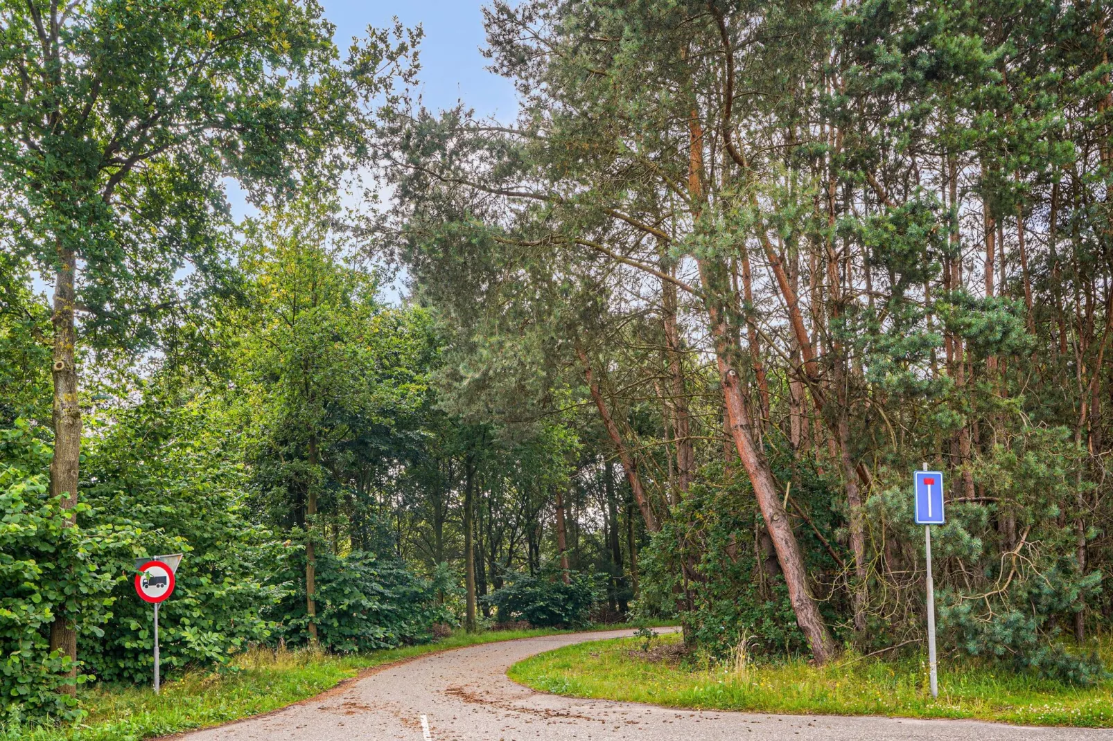 In de Witte Dame - 31A-Gebieden zomer 5km