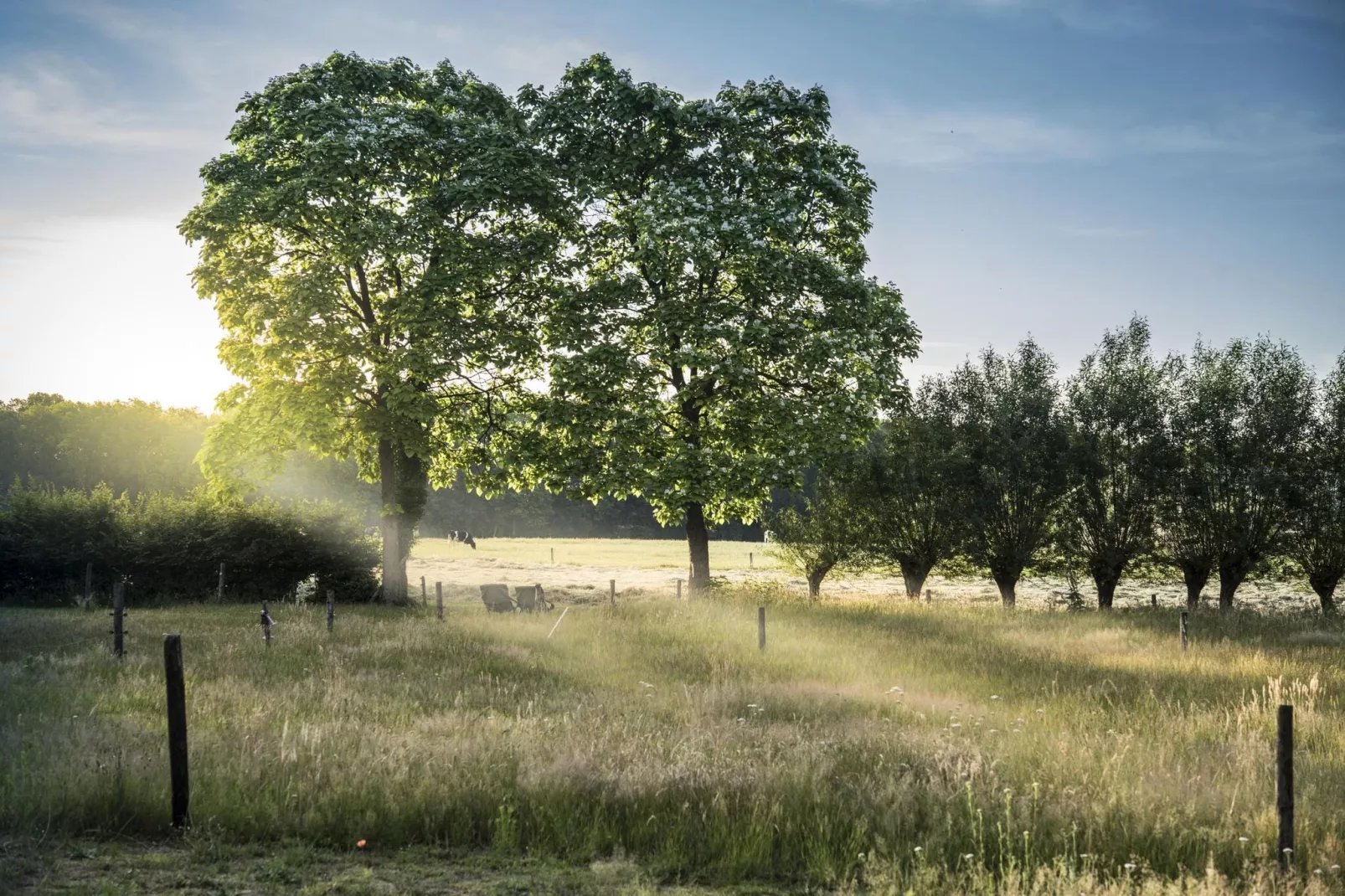 Design Farmers Barn Twente met Hottub