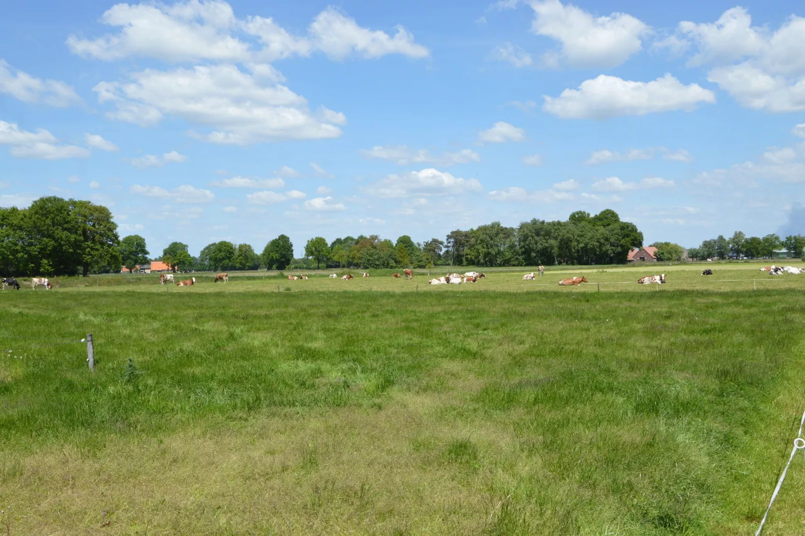 De Eik-Uitzicht zomer