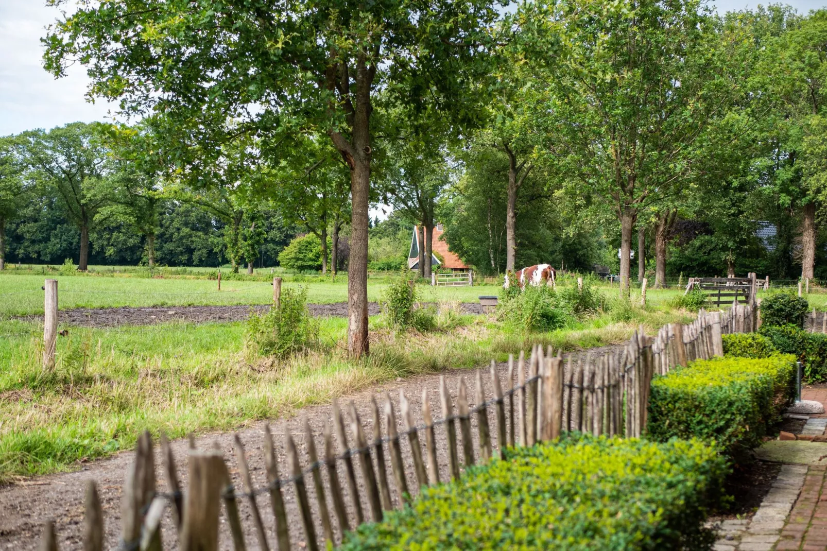 Kotman's spieker 6 persoons-Uitzicht zomer