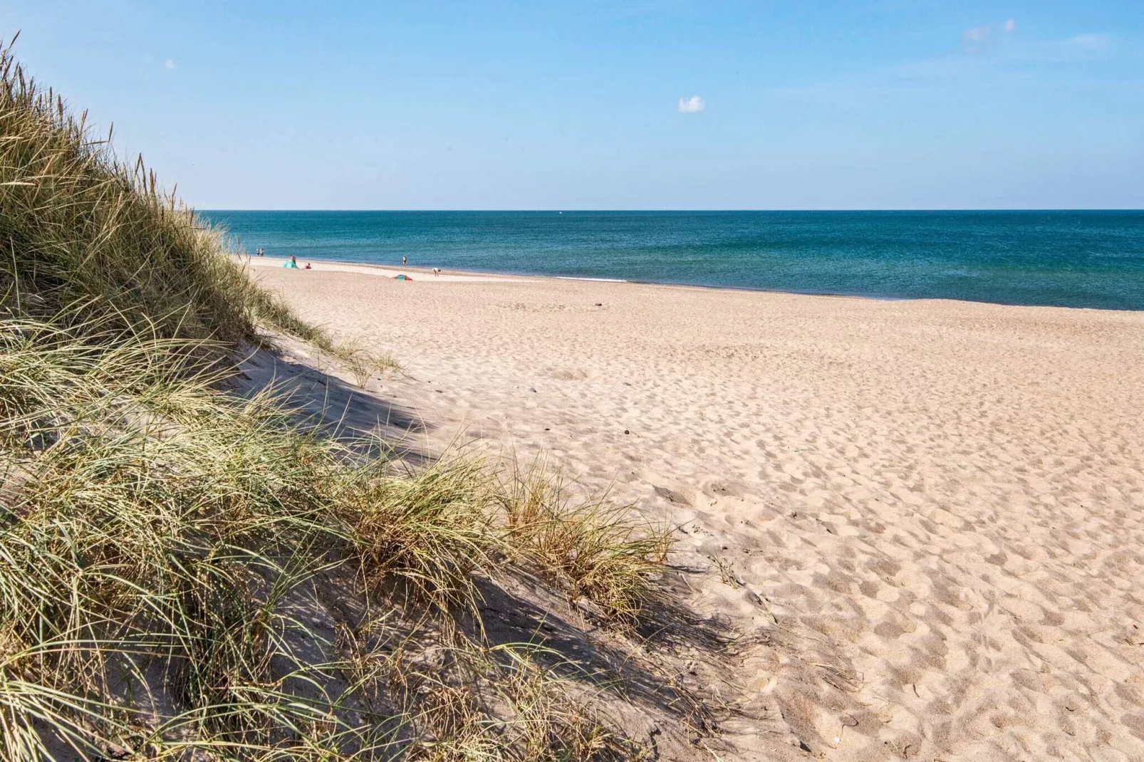 12 persoons vakantie huis in Harboøre-Uitzicht