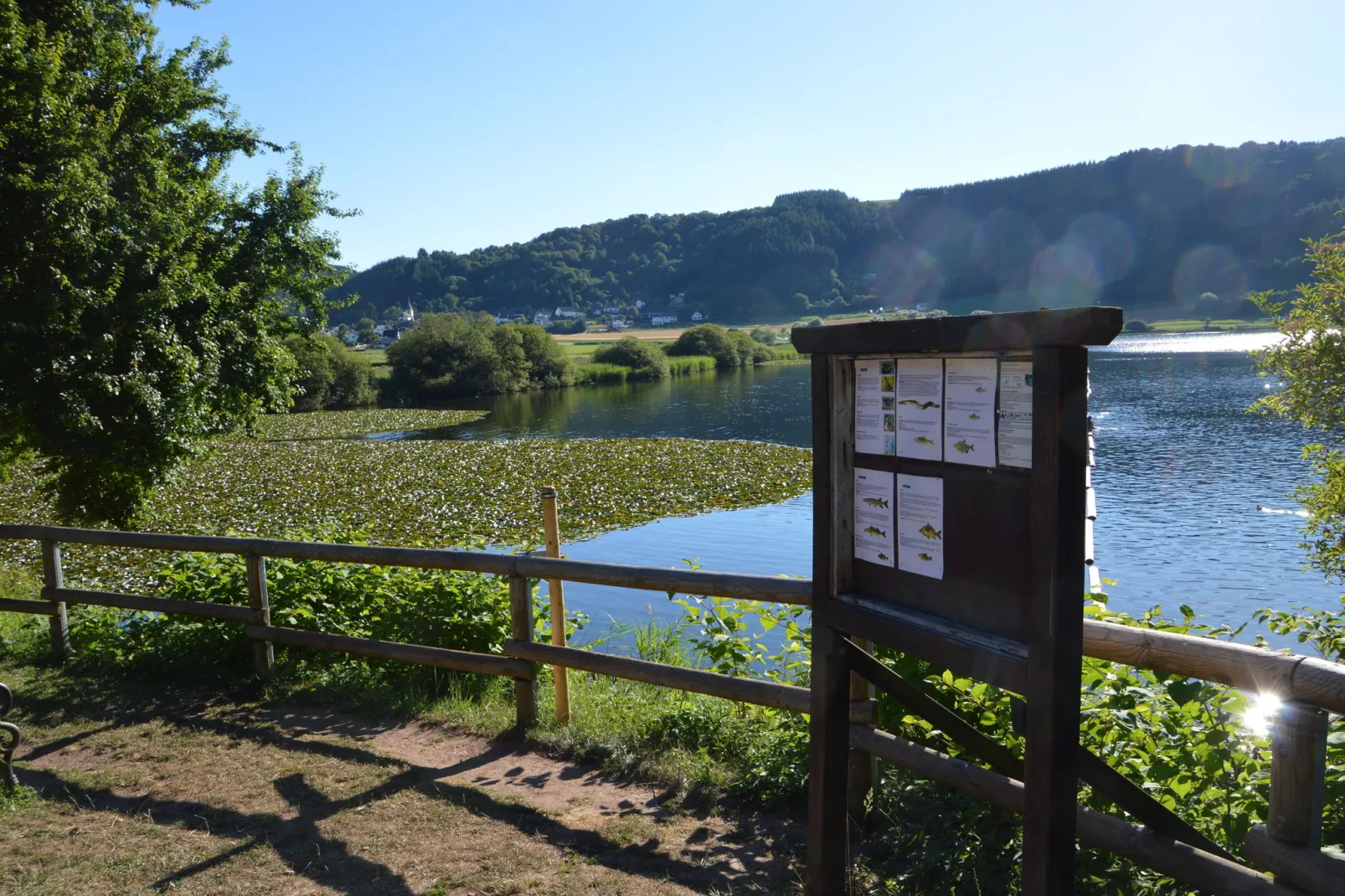 Enjoy II-Gebieden zomer 20km