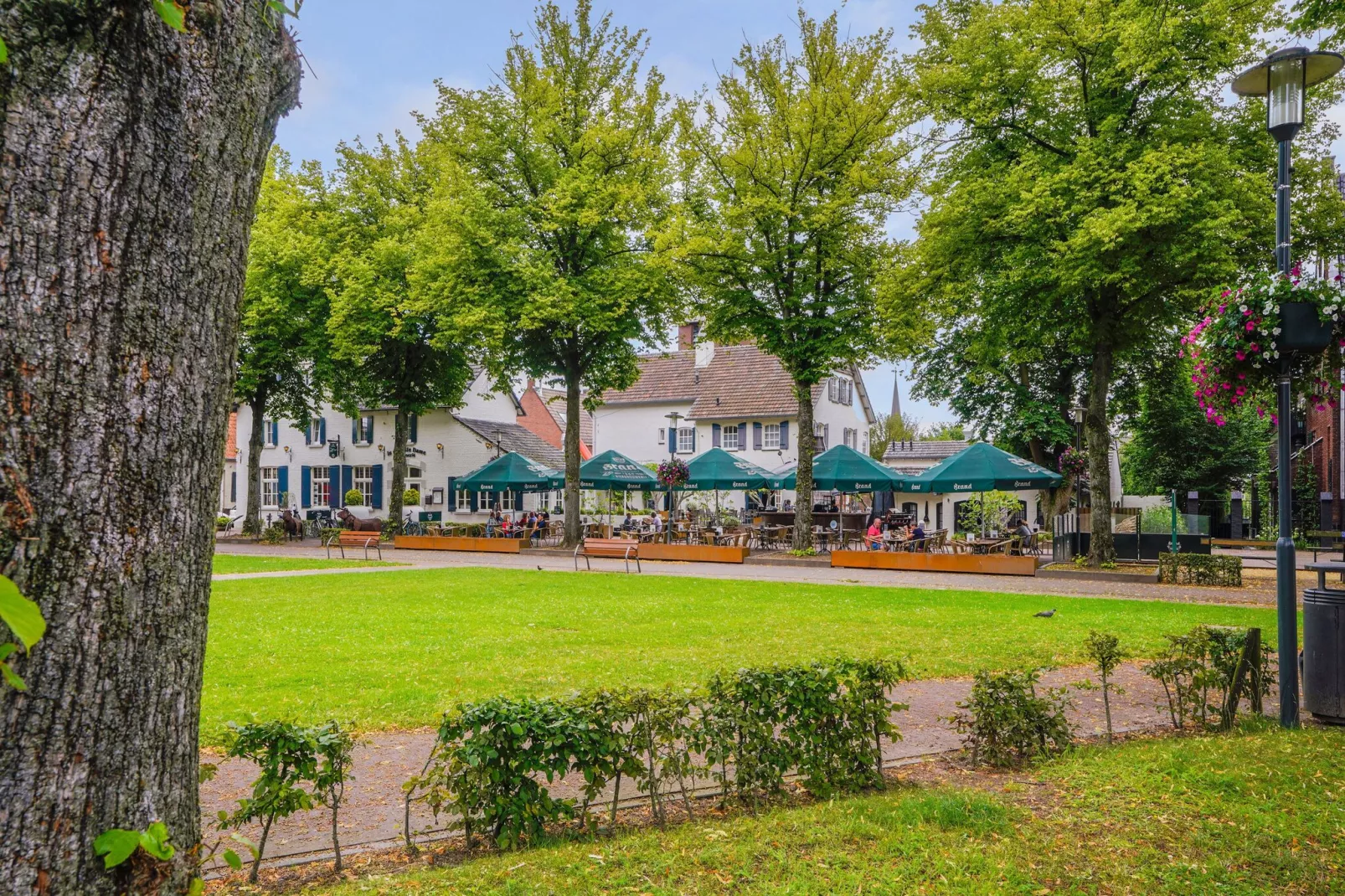 In de Witte Dame - 31B-Gebieden zomer 5km