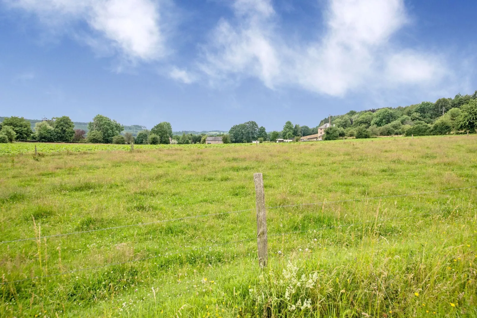 Magnifique Habitation pour 4 adultes-Gebieden zomer 1km