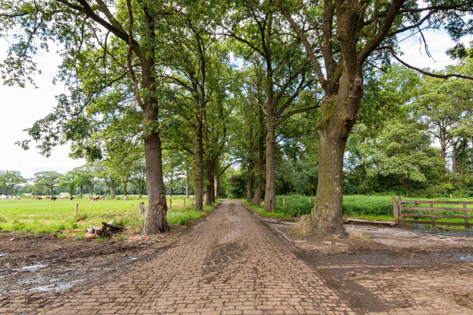 Kotman's spieker 6 persoons-Gebieden zomer 1km