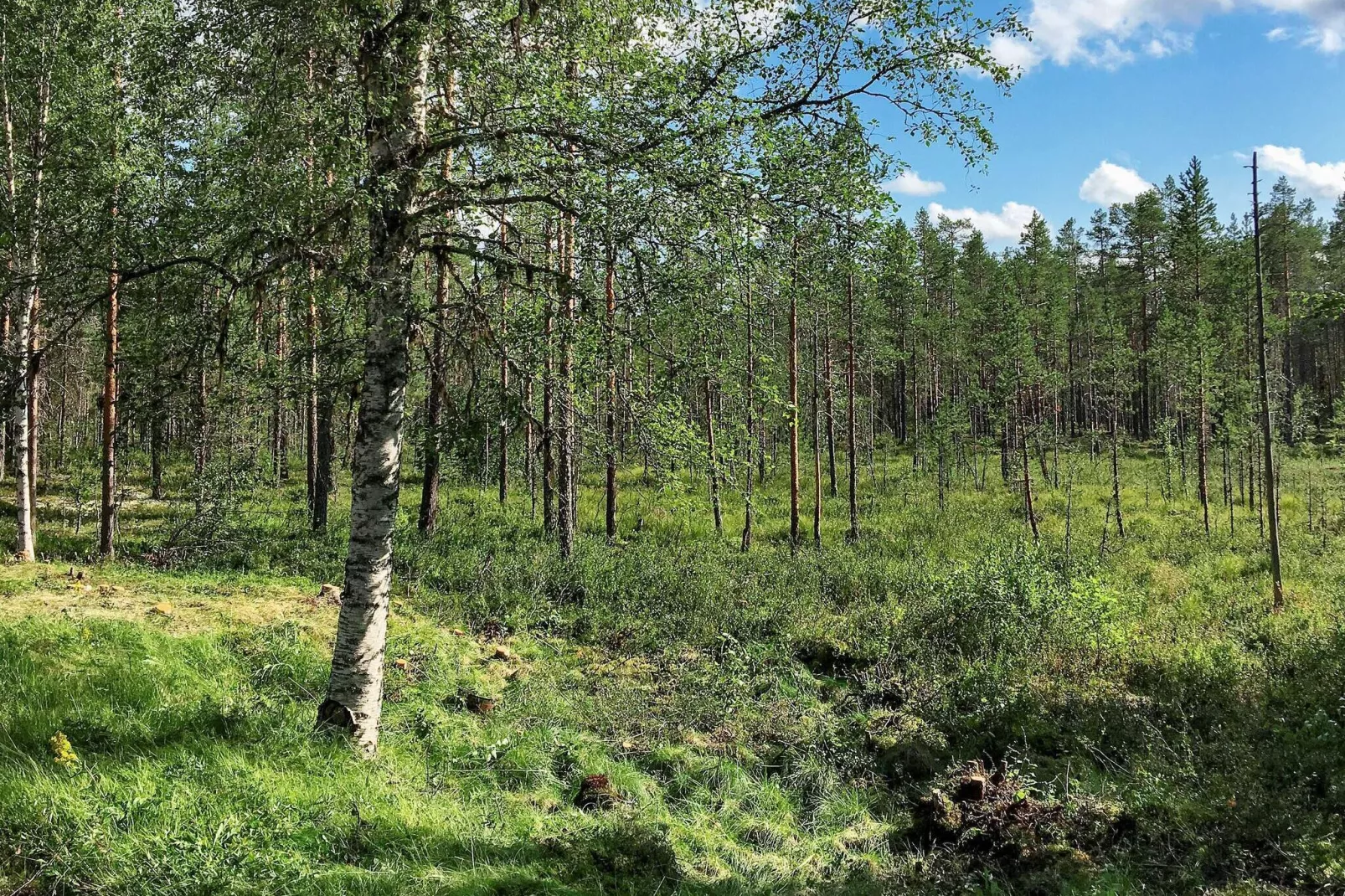 6 persoons vakantie huis in RÖRBÄCKSNÄS-Buitenlucht